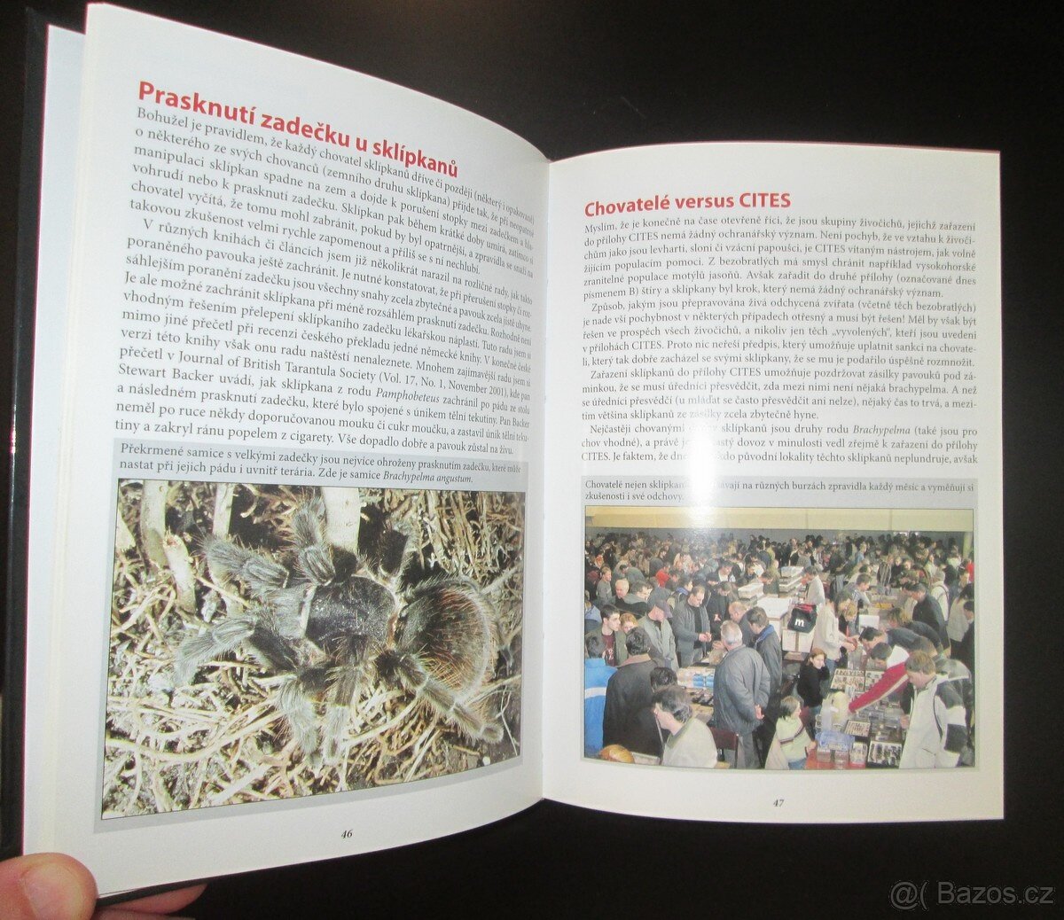 Svět sklípkanů - F. Kovařík - nová - 3