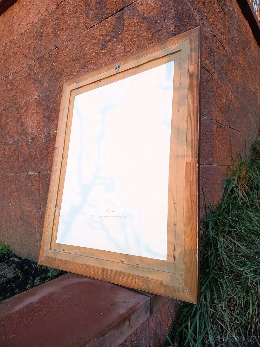 Obraz- reprodukce - 3