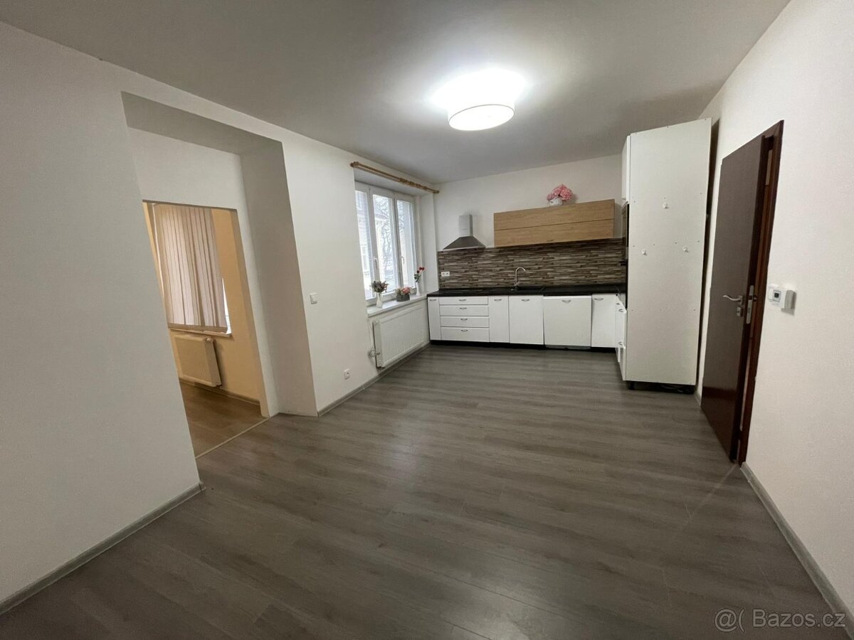 Pronájem - 3