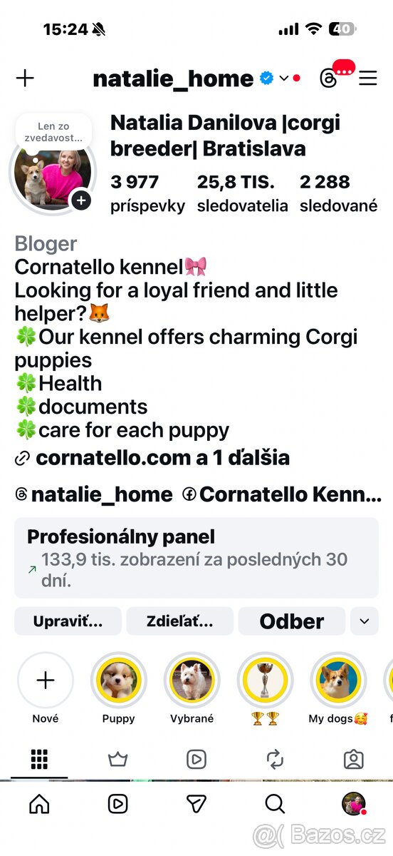 Welsh corgi cardigan. - 3