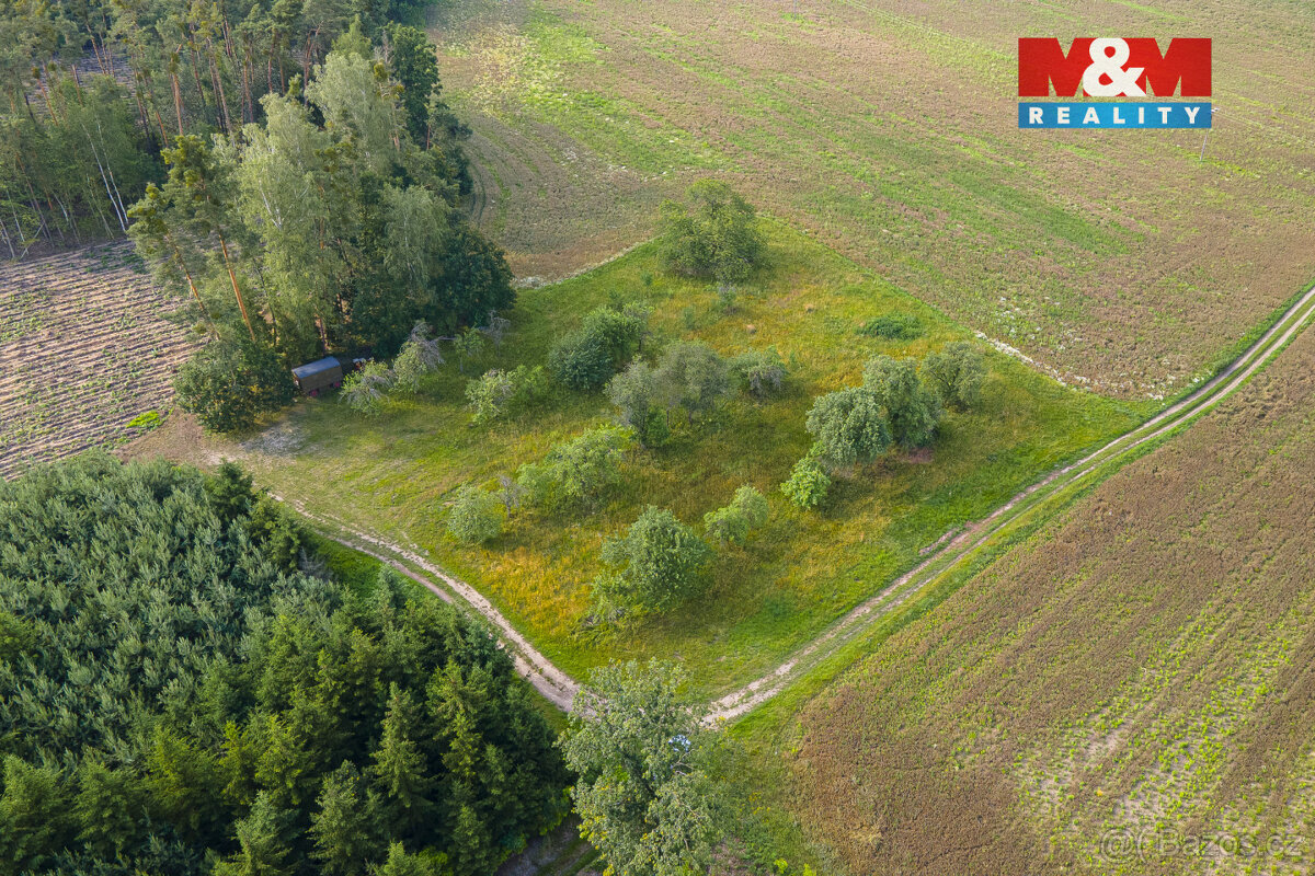 Prodej ovocného sadu v Morašicích - 3