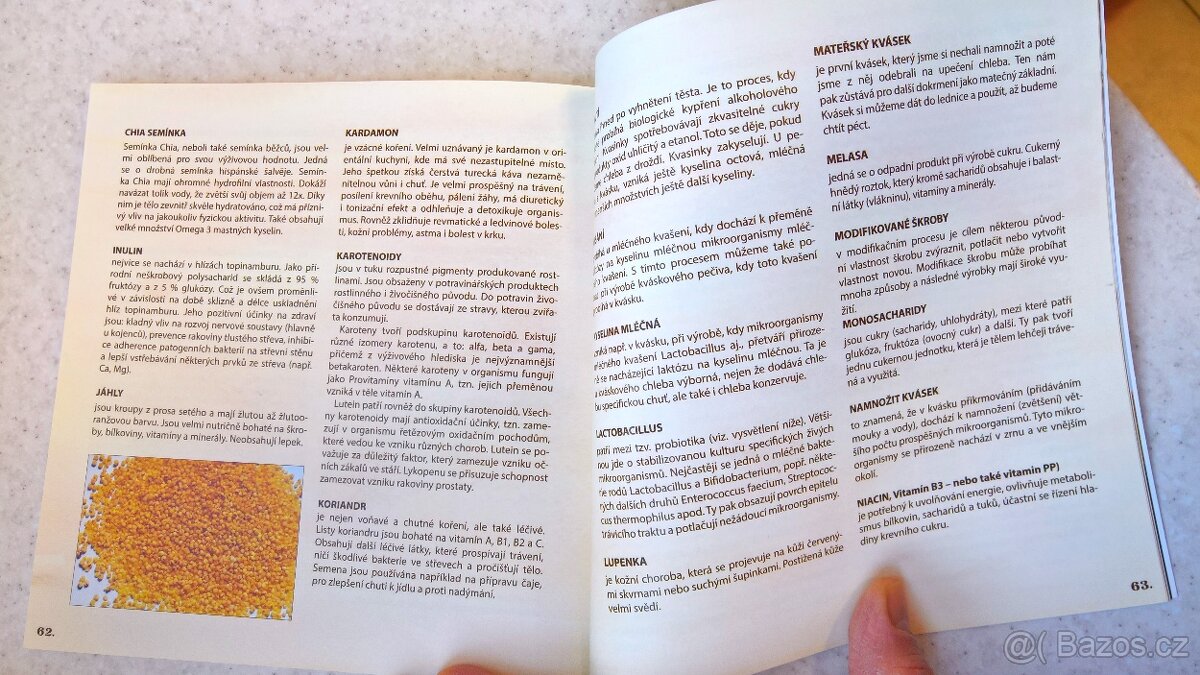 Kváskové pečivo slané - NOVÁ - 3