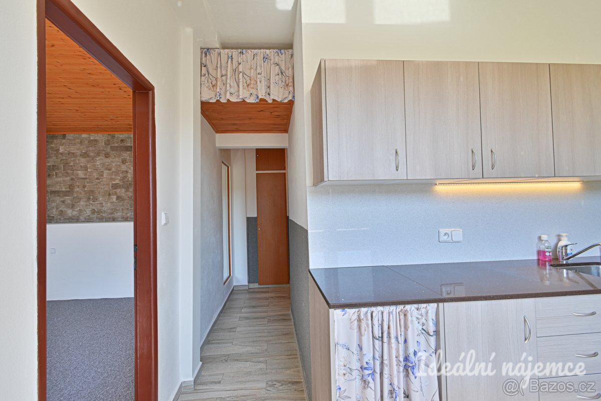 Prodej bytu 1+1 35 m² Nížkovice - 3