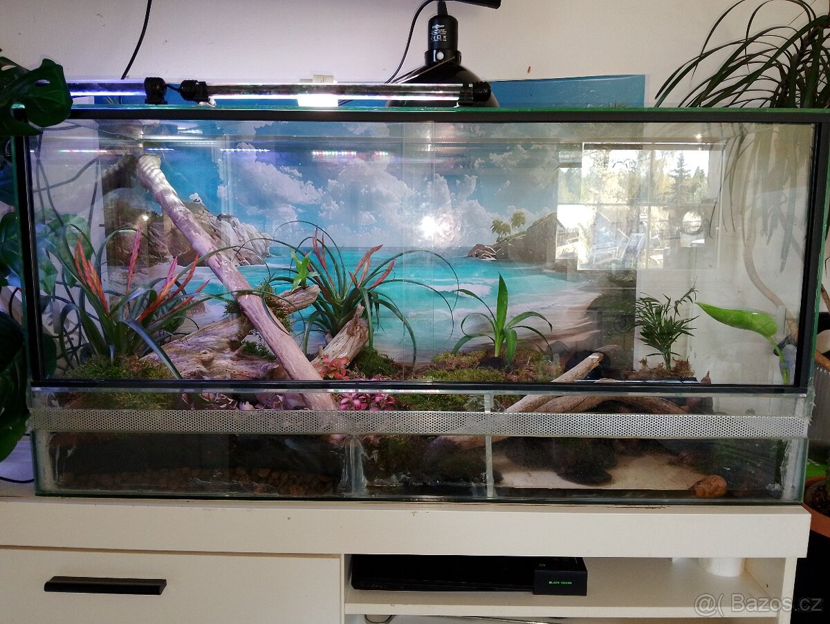 Paludarium - terarium - 3