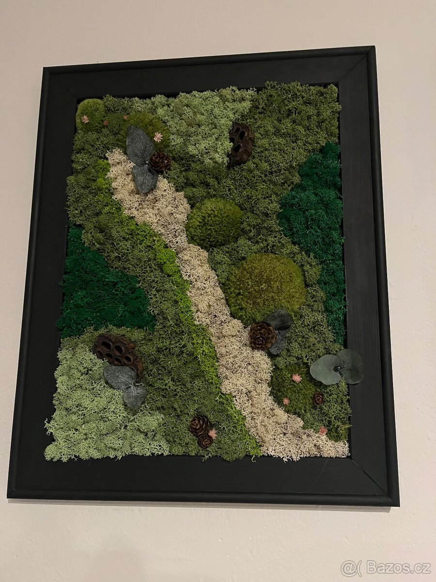 Set mechových obrazov - 3