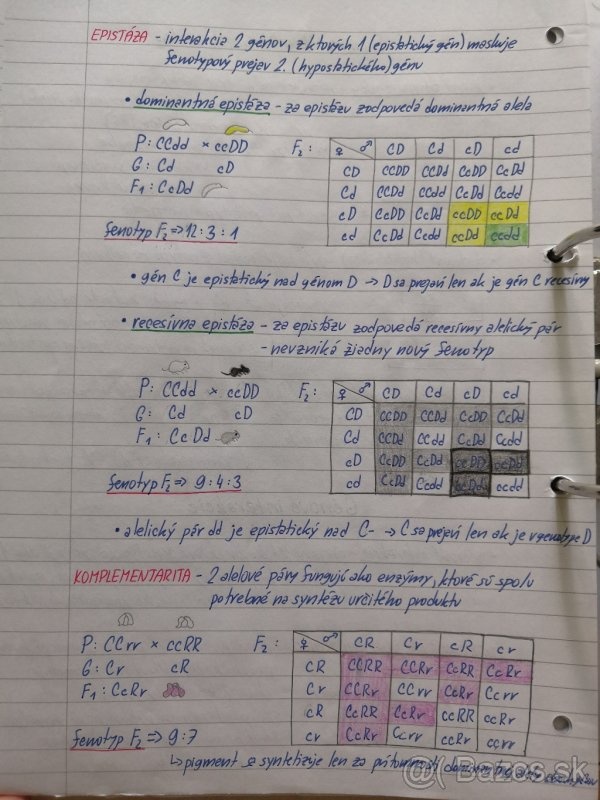 Biologie SŠ výpisky - 3