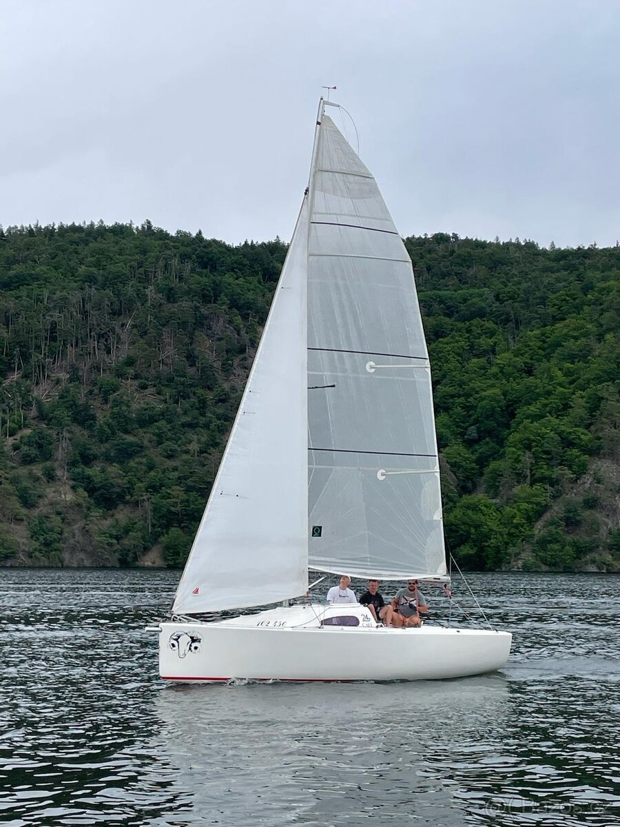 Závodní plachetnice Café 24 Regatta - 3