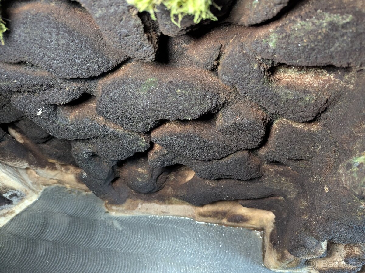 Prodám velké terárium 130 x 45 x 65 - 3