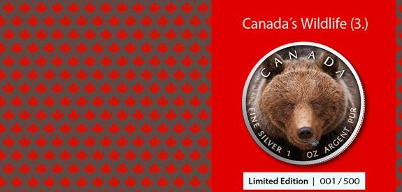 Kanada, 1 unce 2019, Ag 999,9 Grizly, raženo pouze 500 kusů - 3