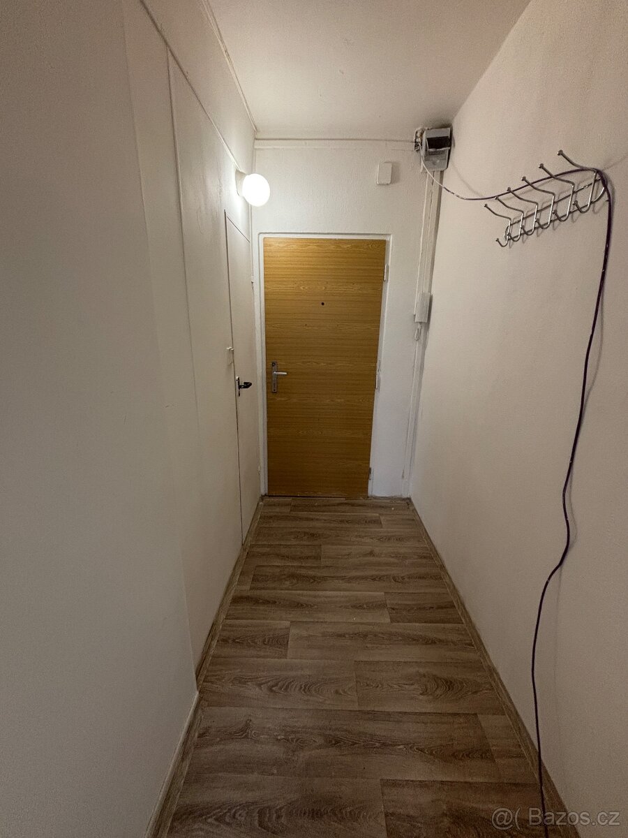 1+KK 19,3 m2 Kostnická - 3