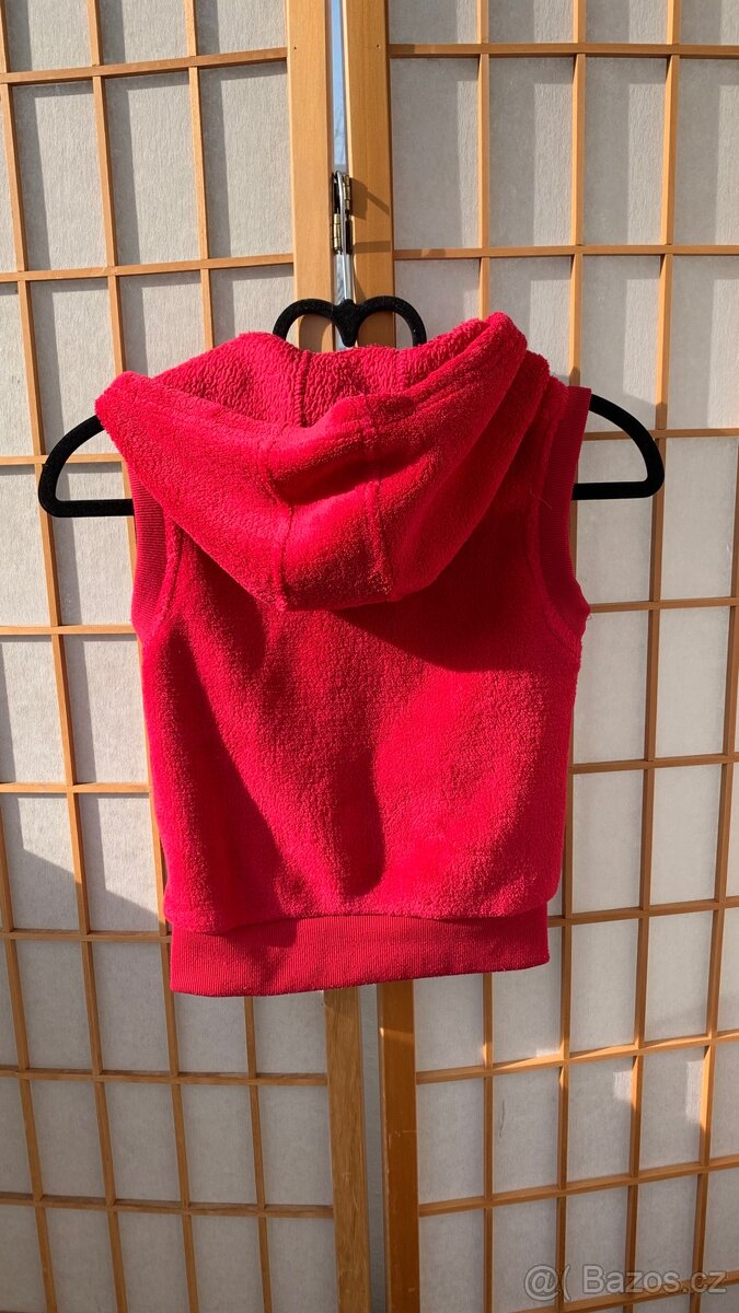 122, Chlupatá vesta - 3