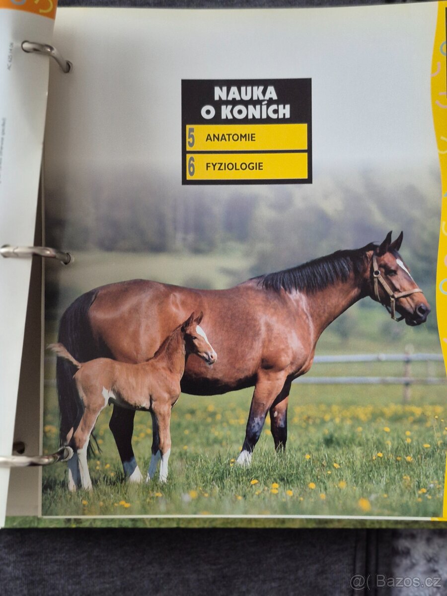 Prodám sbírku o koních - 3