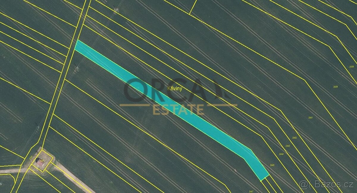 Prodej 0,4 ha orné půdy v k. ú. Jestřabice - 3