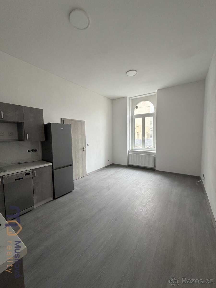 Pronájem bytu 1kk 30 m2 - 3