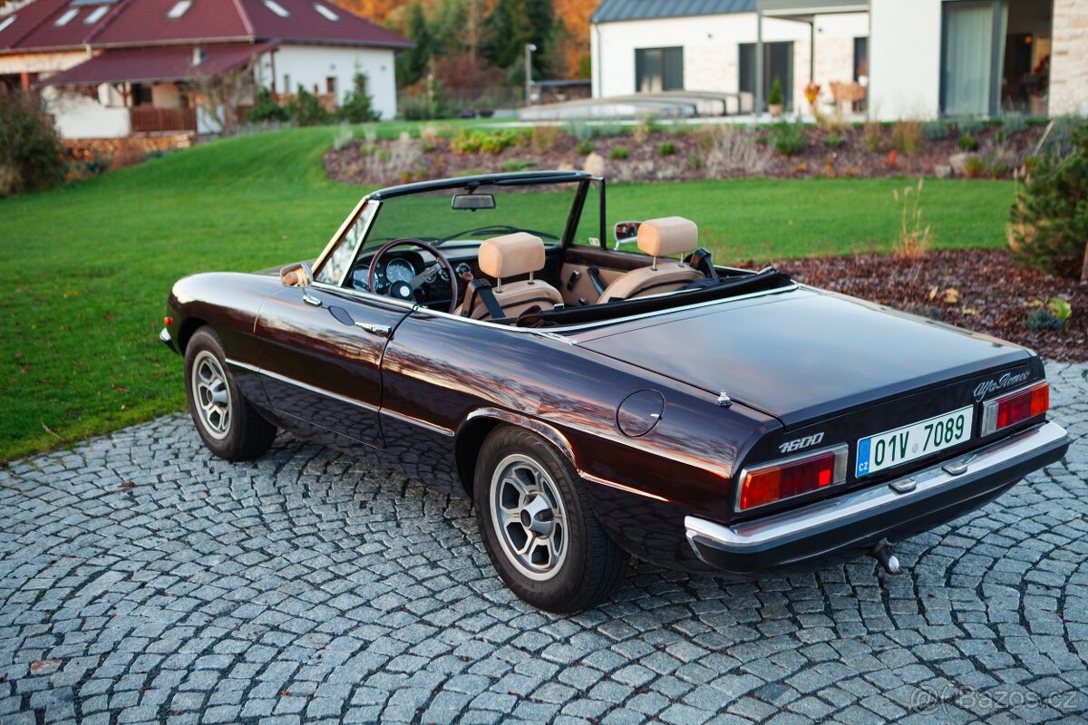 Alfa Romeo Spider - 3
