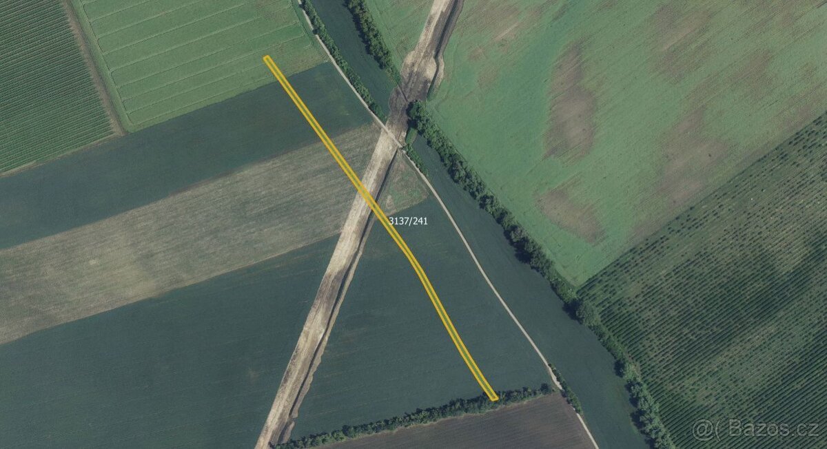 Zemědělská půda, prodej, Prušánky, Hodonín - 3