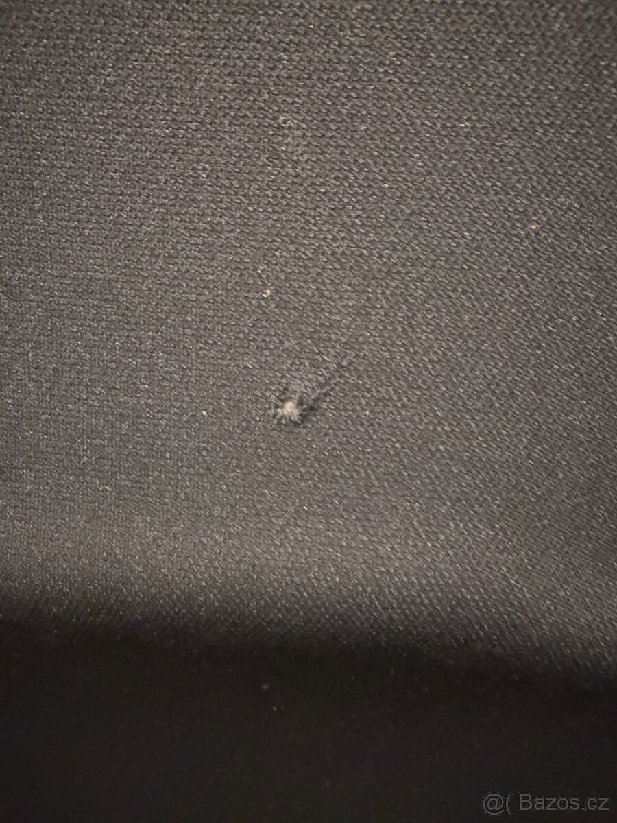 Černá stropnice - Octavia 3 RS - 3