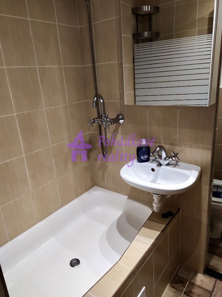 Pronájem bytu 1+1, Olomouc - ul.Hraniční - 3