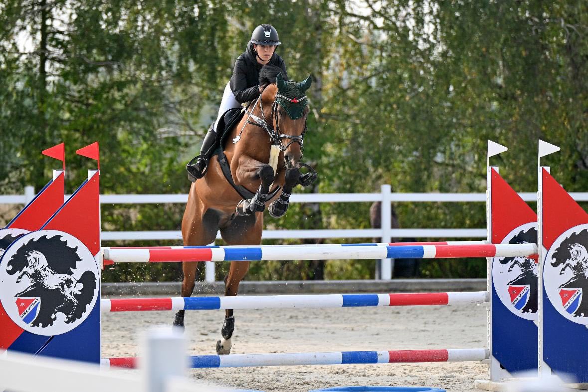 Top valach do sportu - 3