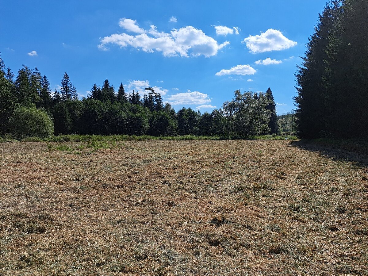 Nivní louka-Klokočov - 3