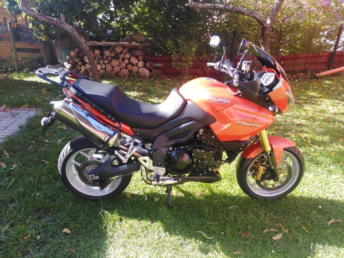 Triuph tiger 1050 - 3