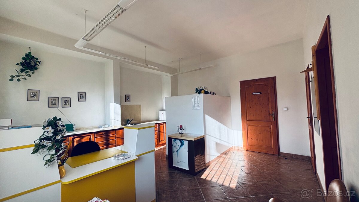 Pronájem komerčního prostoru - 3