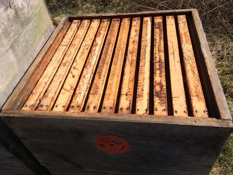 Nástavkové úly - 3