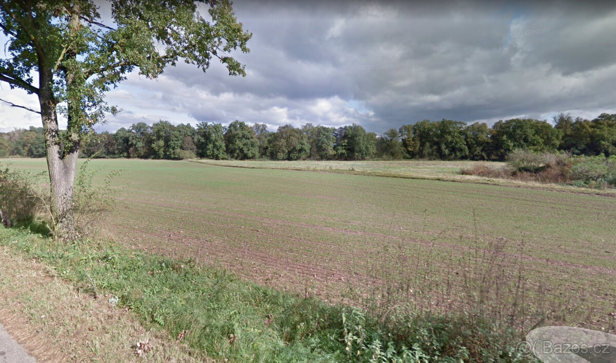 Prodej pole 8 064 m² - 3