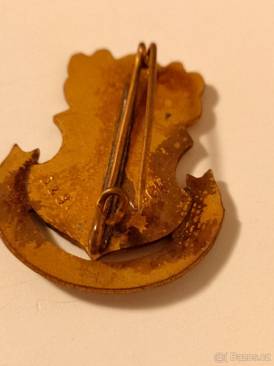 Odznaky Turnverein - 3