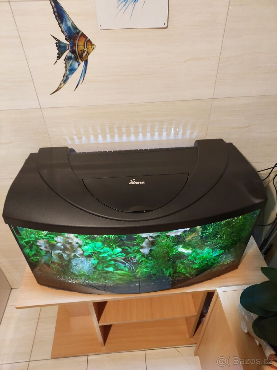 Akvárium i se stolkem - 3