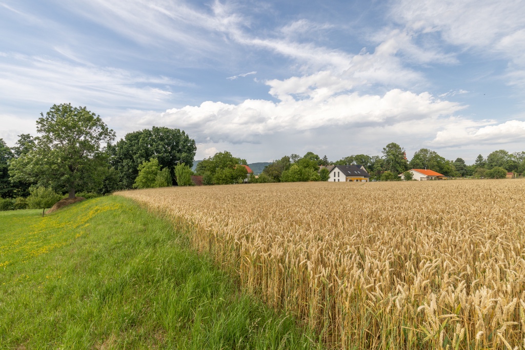 Prodej stavební pozemek, Vražné - 3