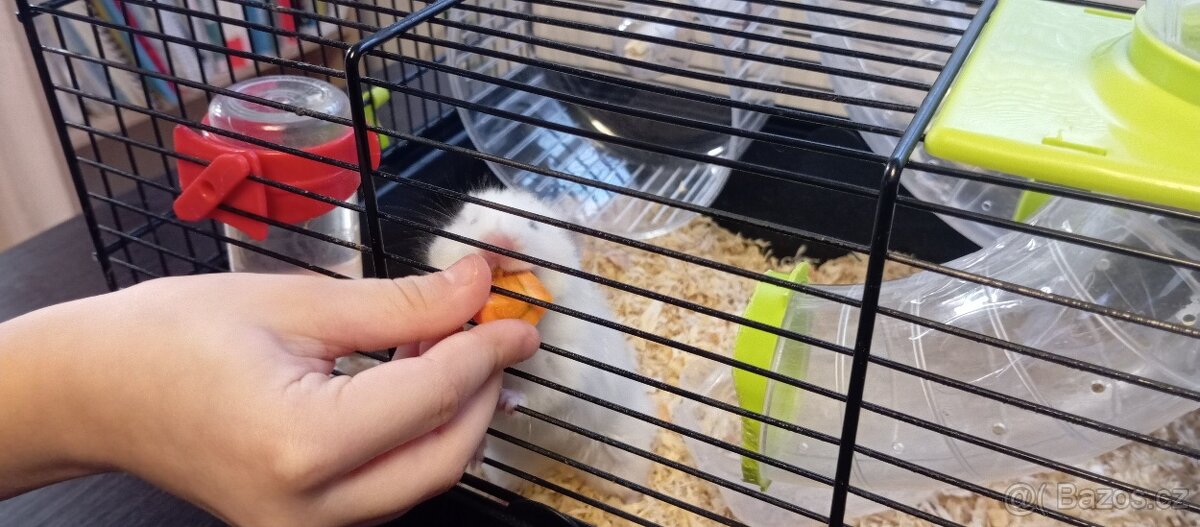 Křeček s domečkem a klecí - 3