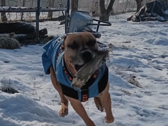 Nabídka je krytí - 3