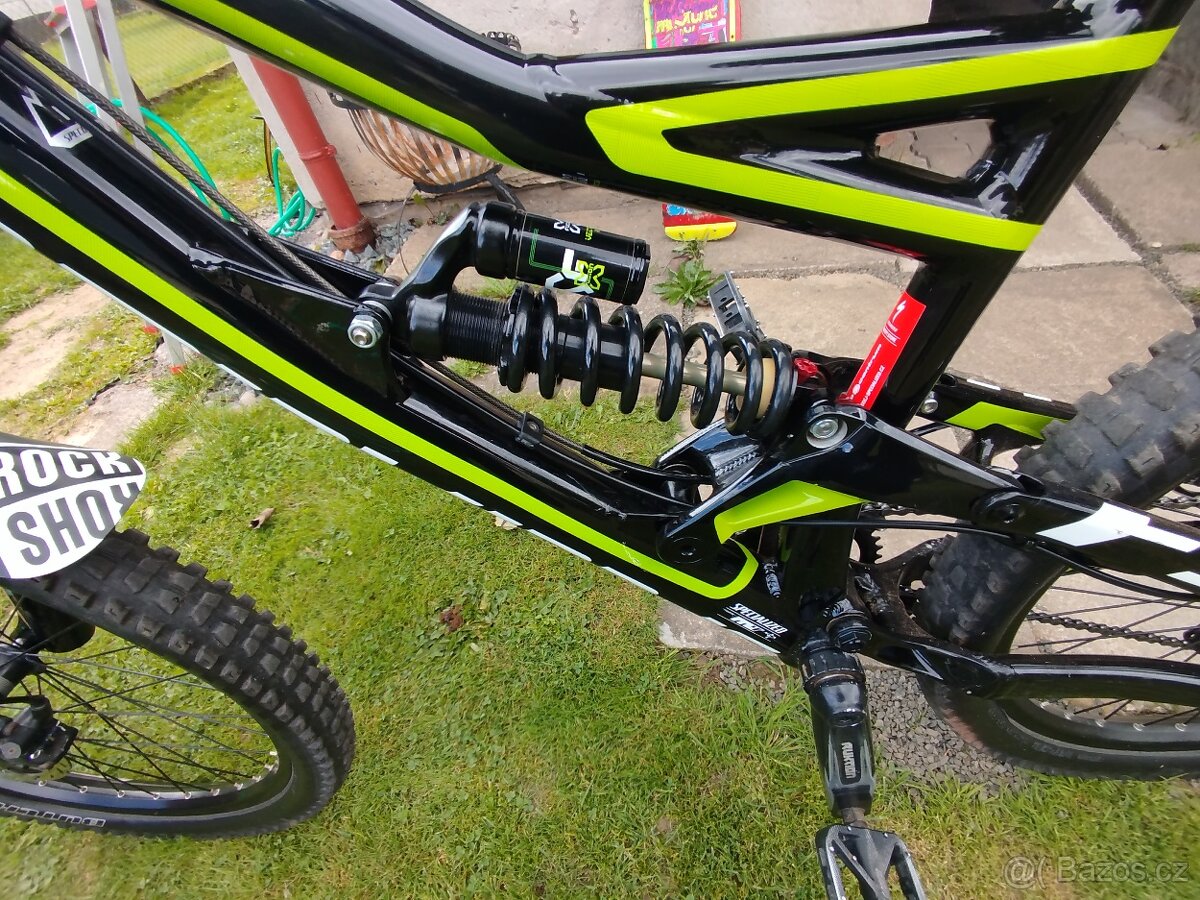 Specialized status 2013 - 3