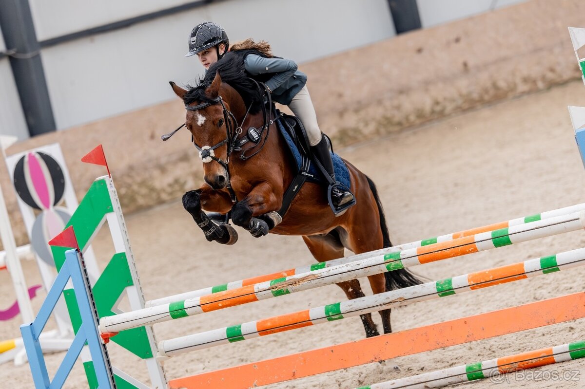 Sportovni pony B - 3