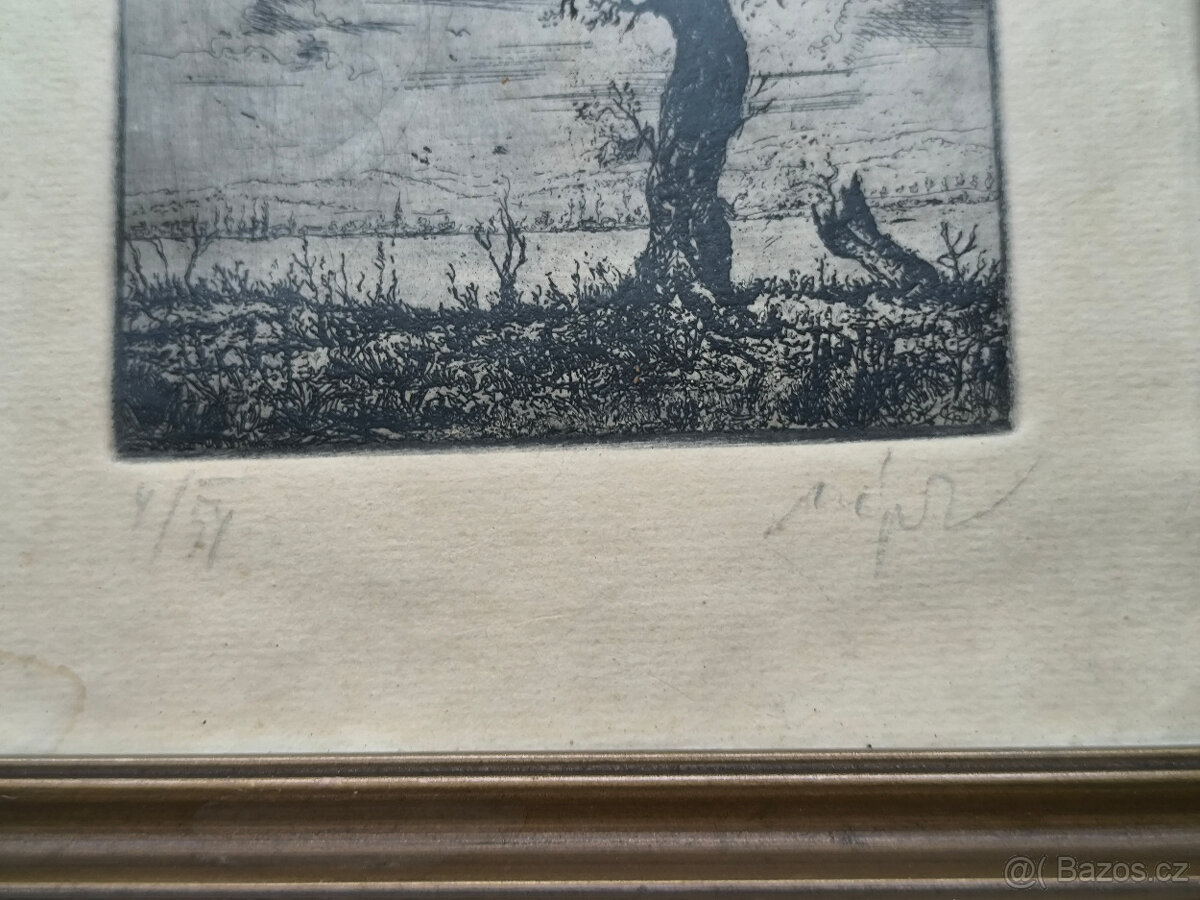 Starý obrázek,grafika 50.léta,podpis autora,číslo série,orig - 3