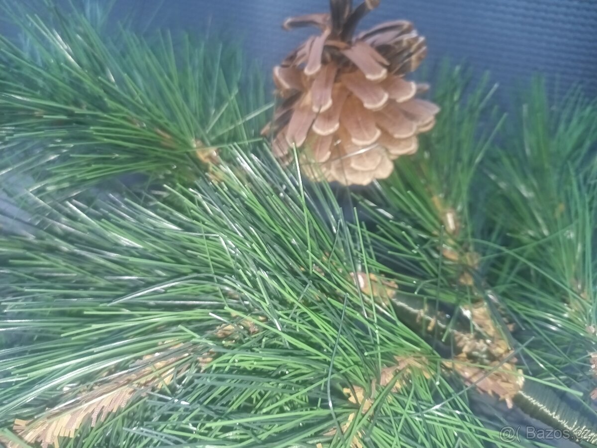 Prodám umělý vánoční stromeček full size věrná replika 2,5m - 3