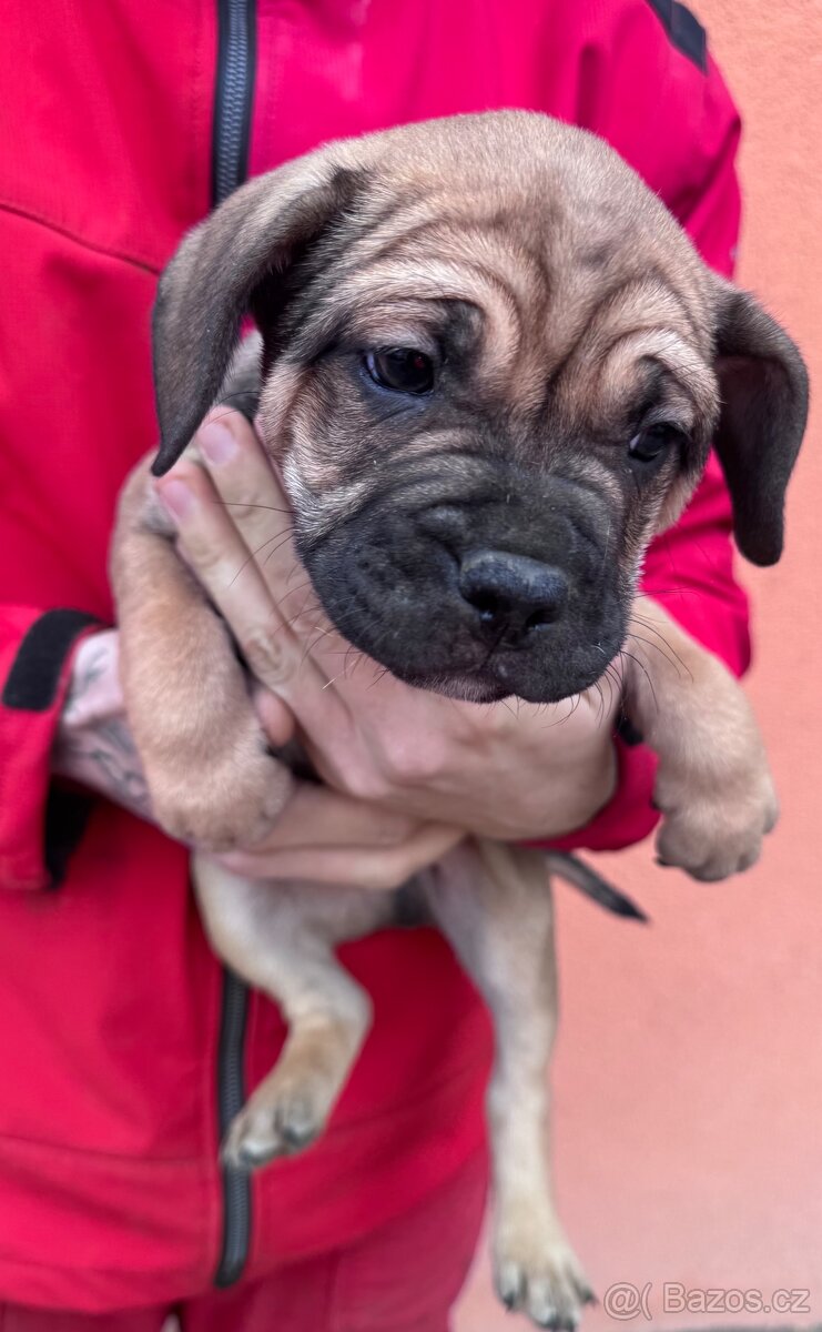 Daruji do dobrých rukou - 3