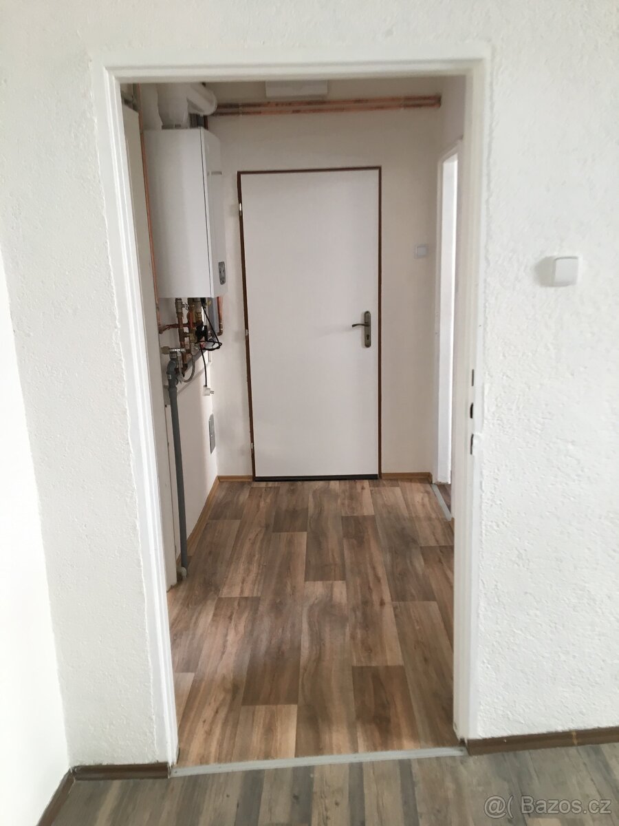 Pronajmu byt 2+1 v Aši - 3