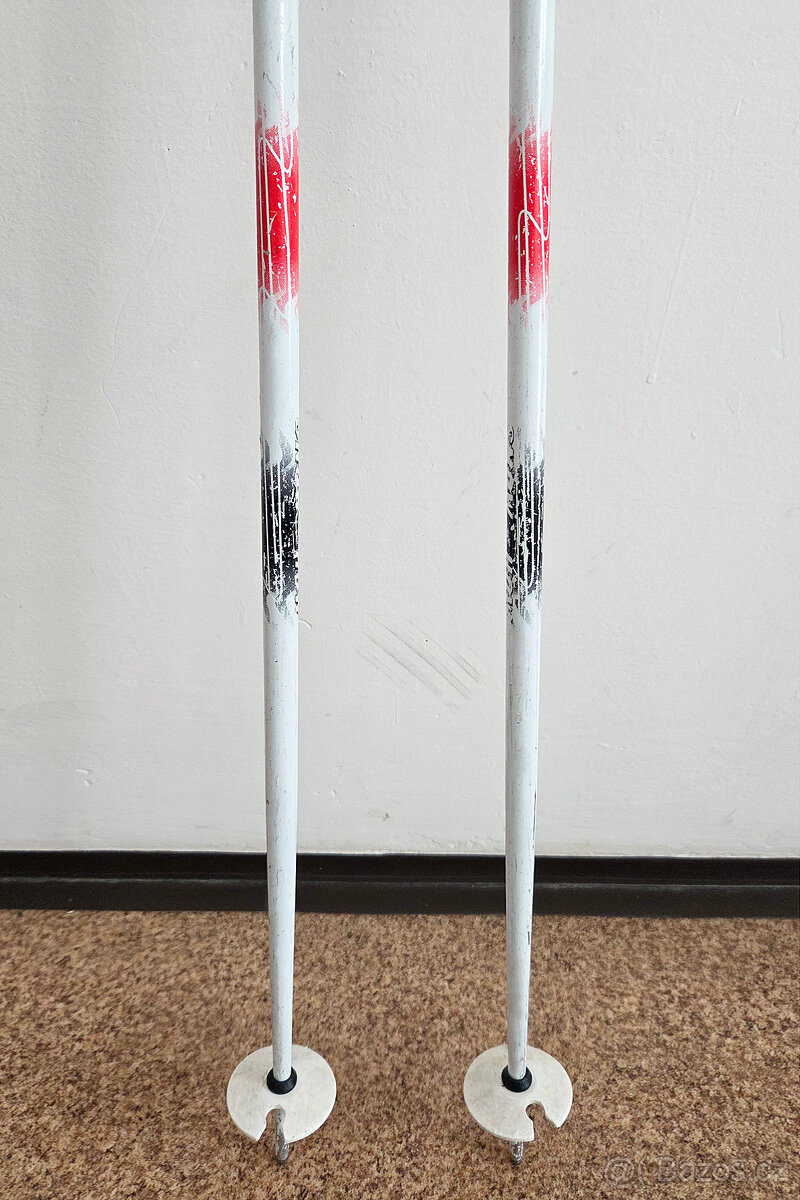 Lyžařské hůlky 110 cm - 3