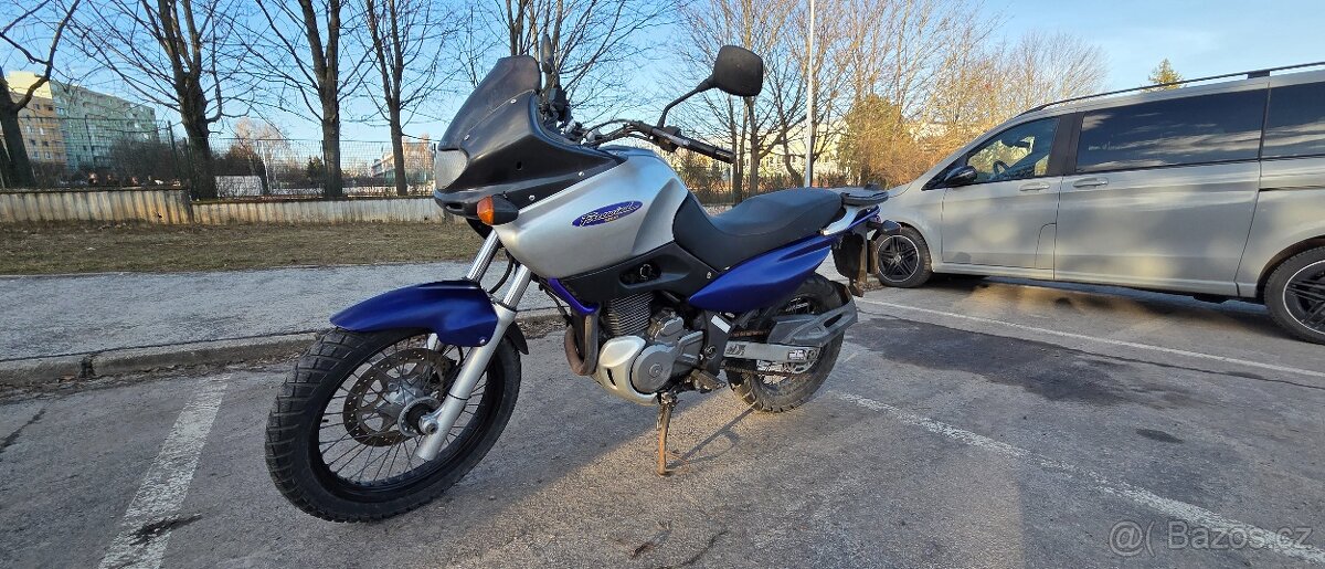 Suzuki XF 650 Freewind 2010 - 3