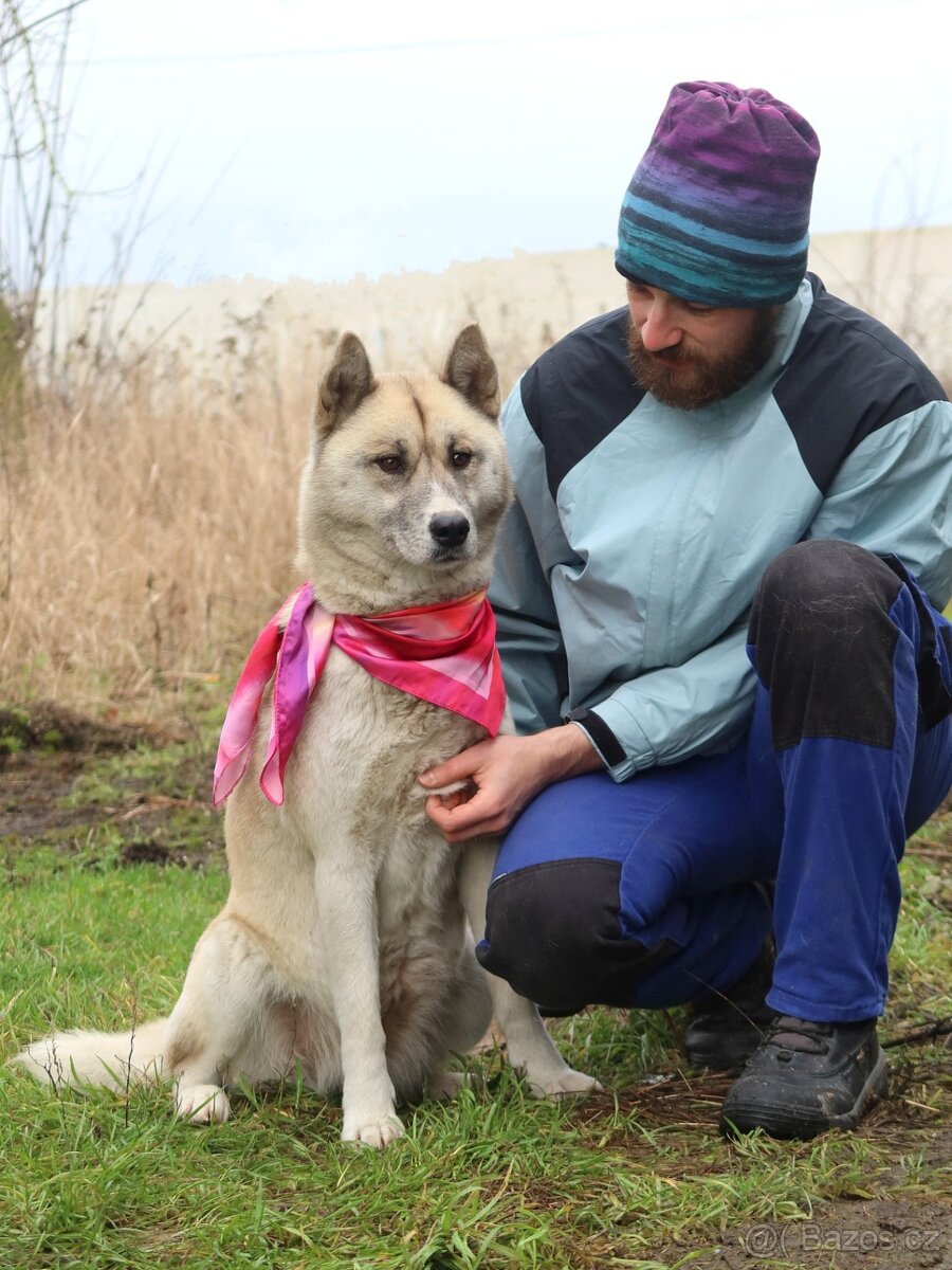 Dafne hledá domov - 3