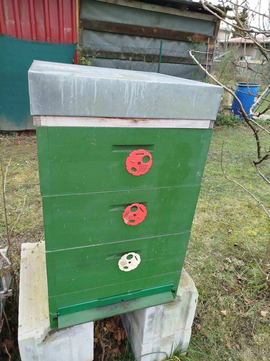 Prodej včelstva 39x17 - 3