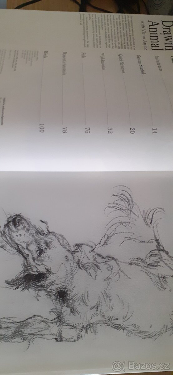 Drawing Animals kreslení zvířat - 3