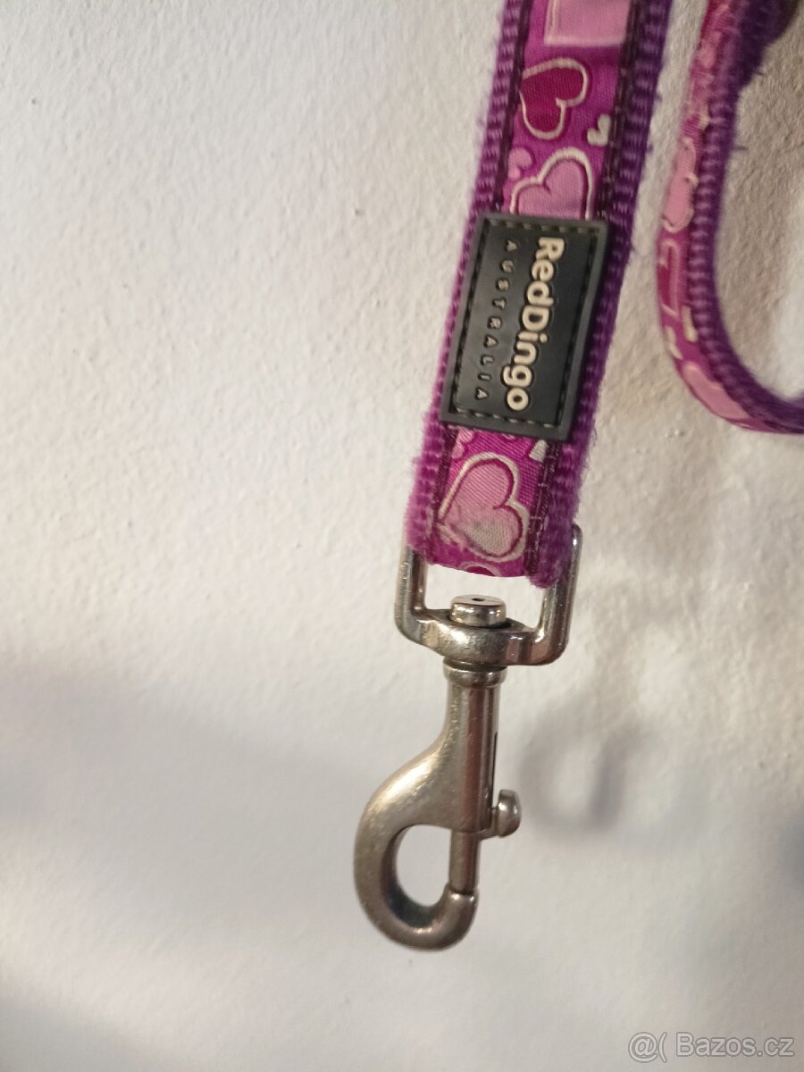 Vodítko Red Dingo pro psy - 3