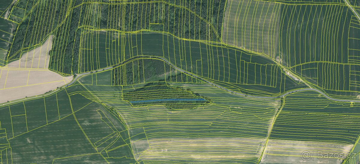 Prodám lesní pozemky v k.ú. Hradiště u Domažlic - 3