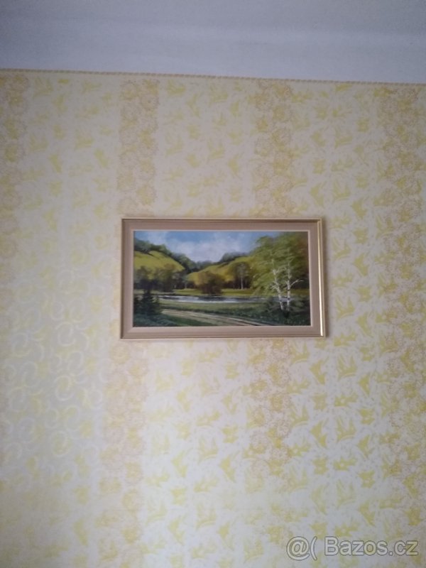 obrazy- krajinky - 3