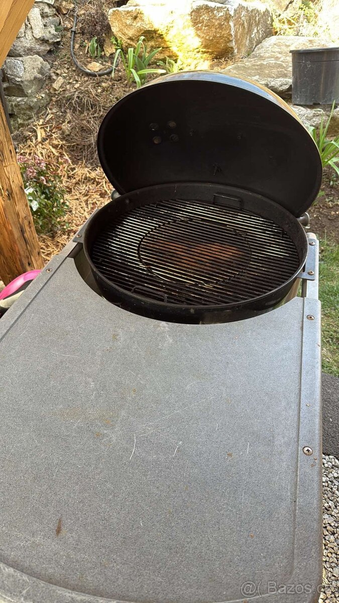 Gril weber performer - 3