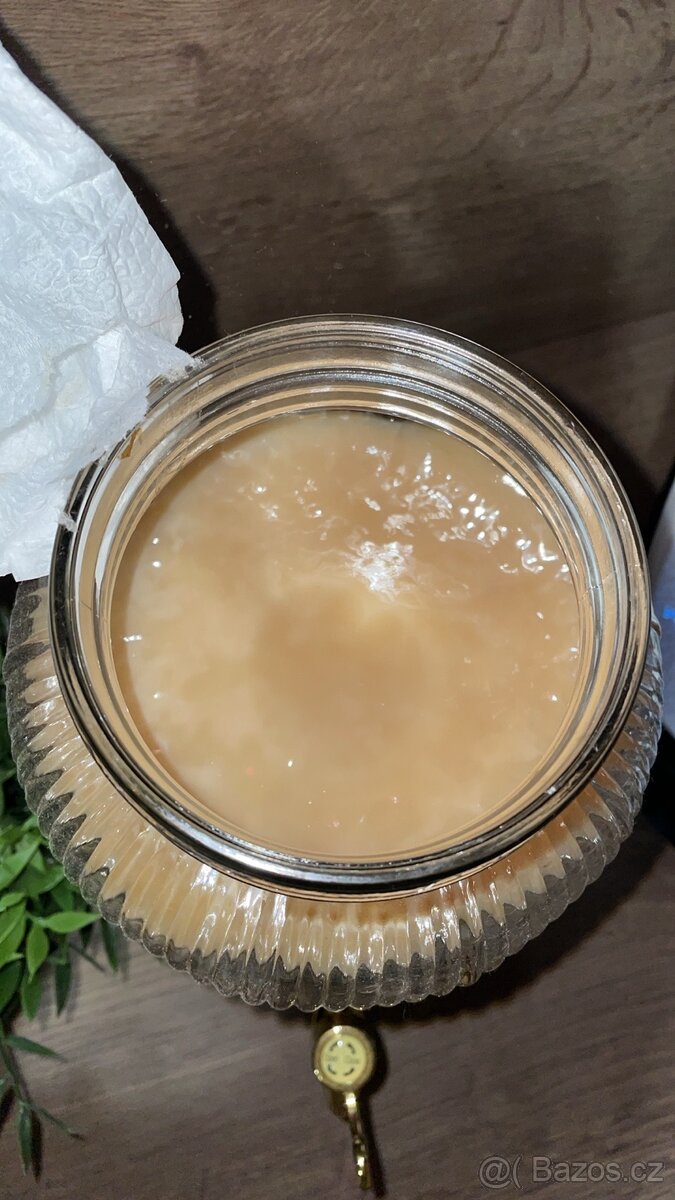 Kombucha plus startér - 3