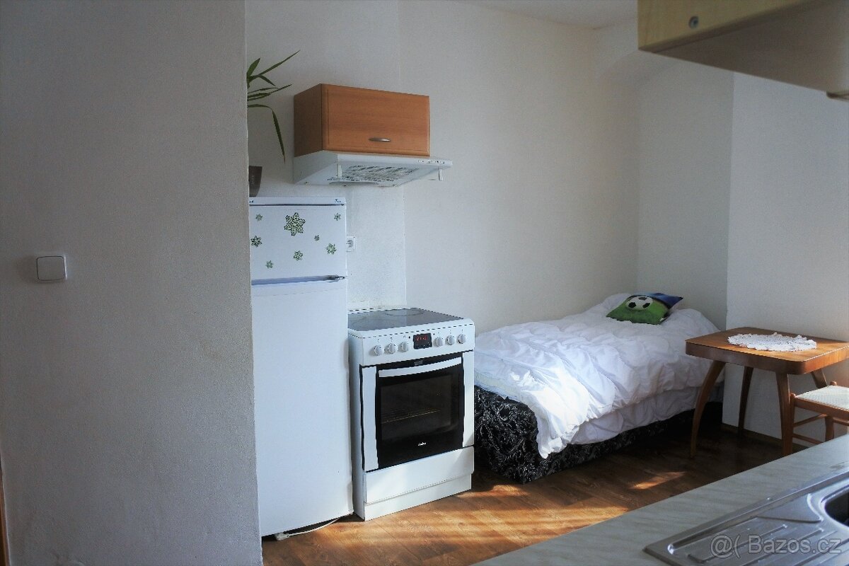 Pronájem v RD, pro firmy - 4-5 lůžek, Chýnov - 3